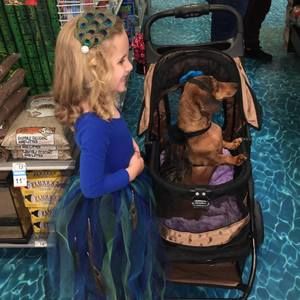 Meet your Posher, Allison